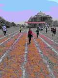 Sport day - 1